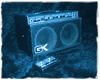 Gallien krueger cheap 250ml speakers