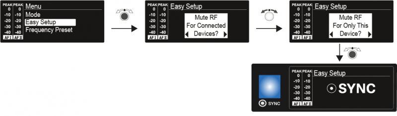 File:SR IEM Menu Easy-Setup.png