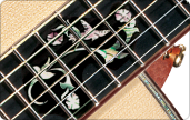 File:Cindy-Inlay.png